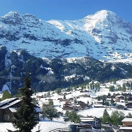 St. Louis 3.5 - Griwarent Ag Grindelwald
