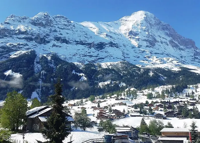 St. Louis 3.5 - Griwarent Ag Grindelwald
